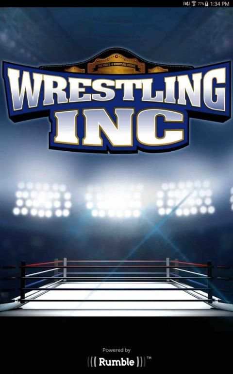 Wrestling Inc. screenshot 8