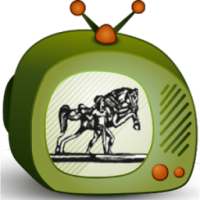 Oriya TV All Channel