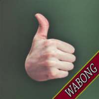 FSOT Foreign Service Officer Test Flashcards