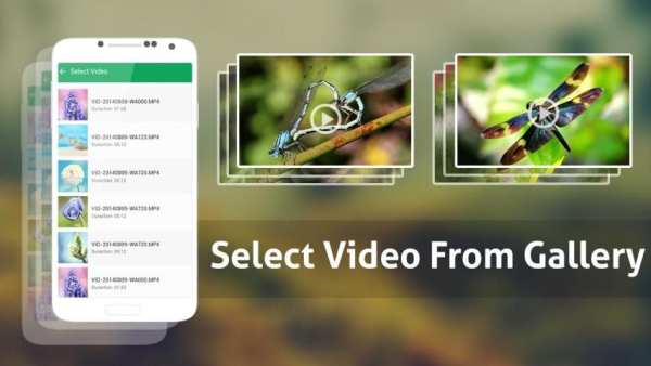 Video Croper-Trimmer screenshot 5