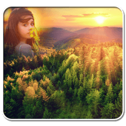 Tropical Forest Photo Frames आइकन