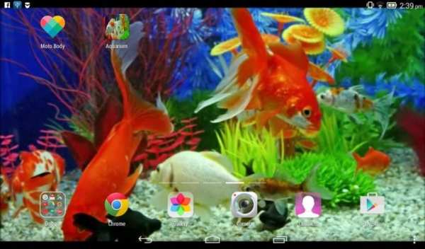 Aquarium Live Wallpaper screenshot 2