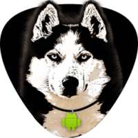 Don't touch my phone (anti-theft alarm)