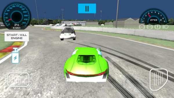 Rally Car Racing Simulator скриншот 3