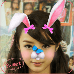 ikon Snap Photo Filters