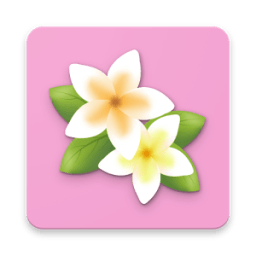 ikon Draw Flowers Step by Step