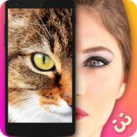 Face Scanner Cats Prank