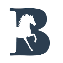 BISpoke Forms by Belton Intel icon