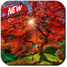 ikon Fall Wallpaper