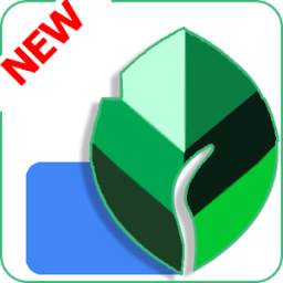 snapseed 1.0