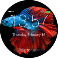 Fish Lock Screen