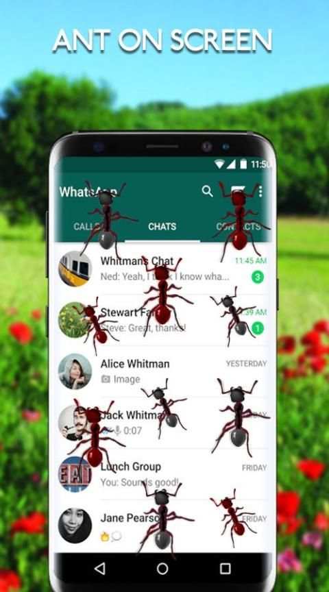 Ants on Screen - Ants in Phone Funny Joke screenshot 3