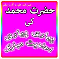 Aik Hazaar Ahadees Nabvi on 9Apps