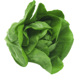 اكلات للرجيم आइकन