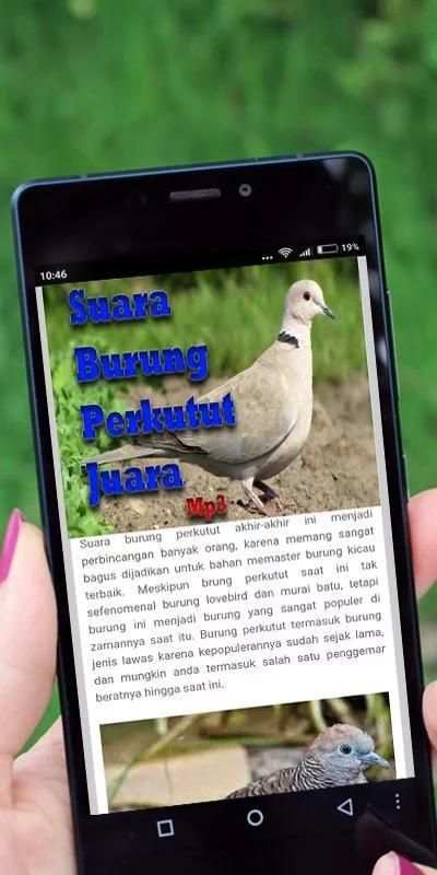 Suara Burung Perkutut Juara screenshot 3