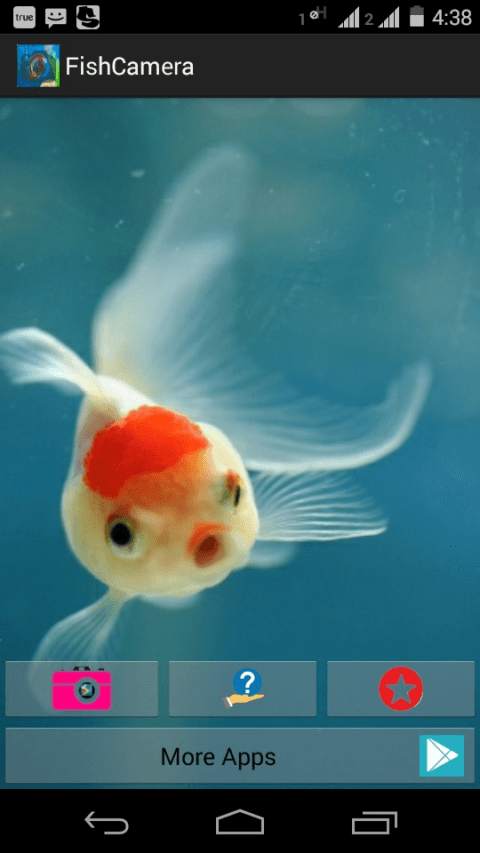 Fish Camera screenshot 2