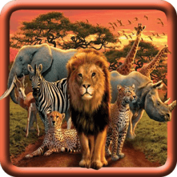 ikon Animal Sound For Kids