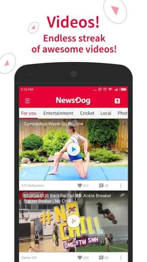 NewsDog Lite - India News скриншот 2