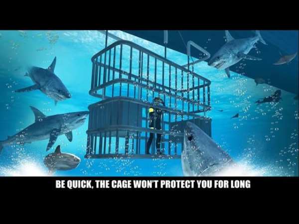 Ultimate Shark Sniper Hunting screenshot 1