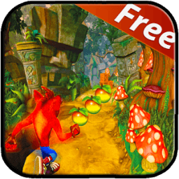 Temple crash bandico Adventure run أيقونة