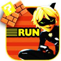 Cat Noir Adventur NEW