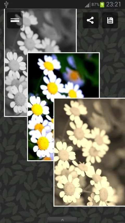 Photo Album 4 تصوير الشاشة