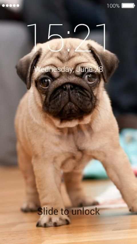 Cute Puppy Lock Screen 3 تصوير الشاشة