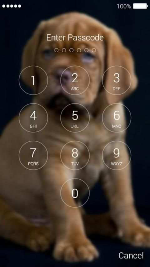 Cute Puppy Lock Screen 7 تصوير الشاشة