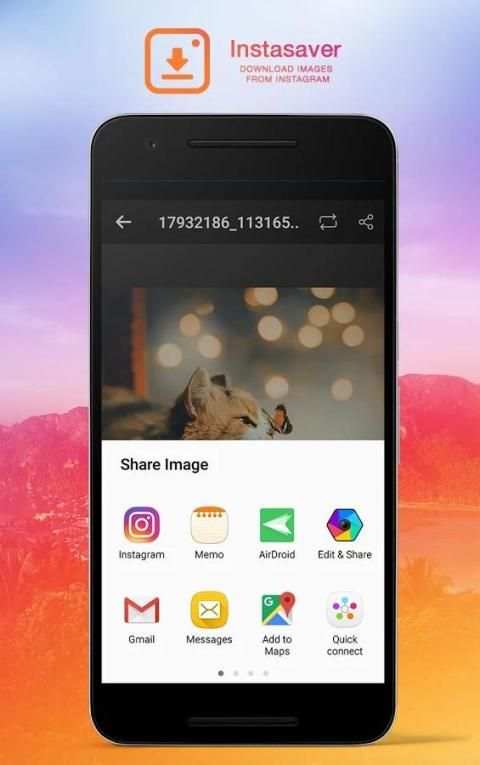 InstaSaver 4 تصوير الشاشة