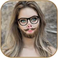 Funny Face Changer Editor