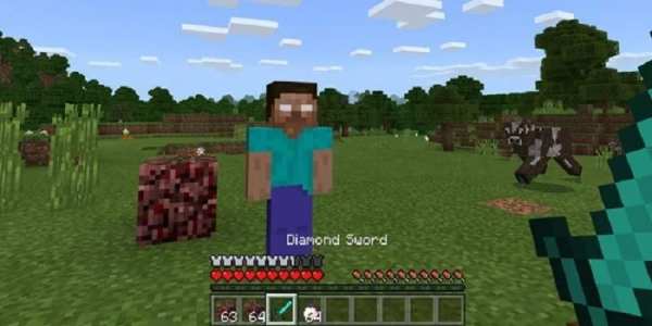 MOD Herobrine screenshot 2