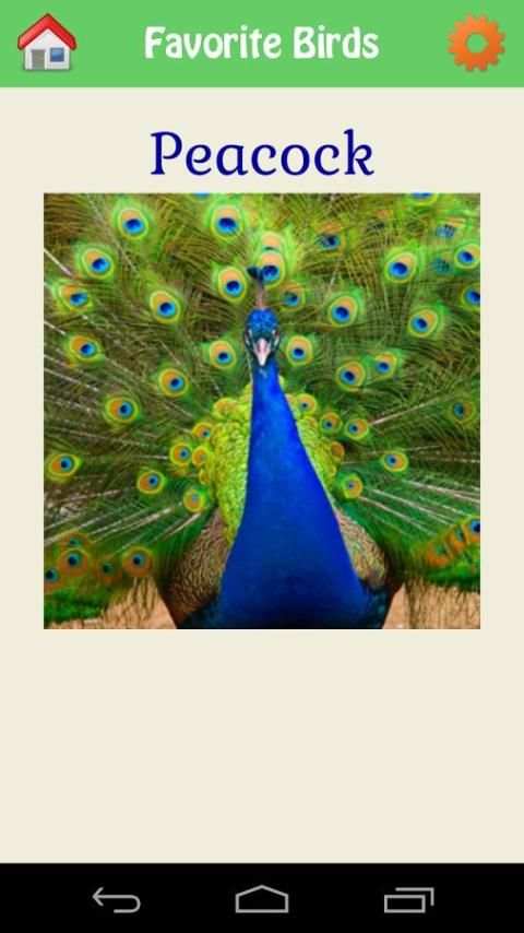 Animal Kingdom скриншот 3