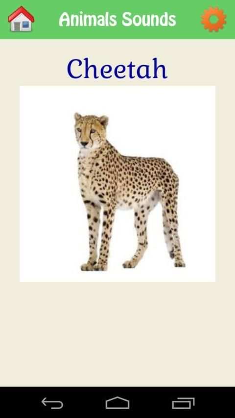 Animal Kingdom скриншот 2