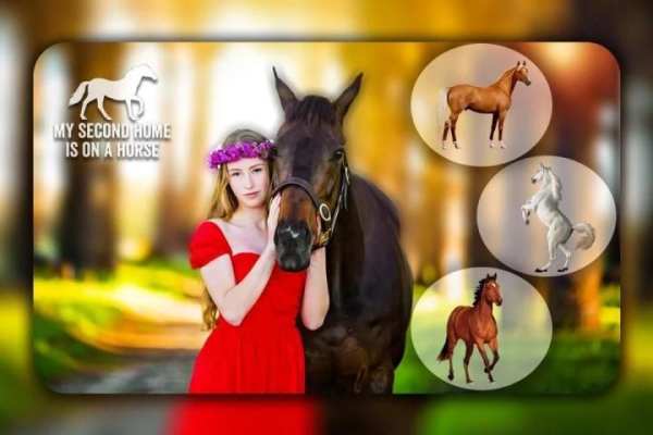 Horse Photo Editor 5 تصوير الشاشة