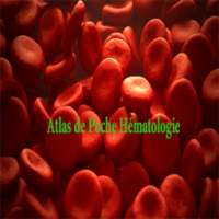 Atlas de Poche Hématologie