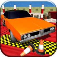 Car driver : Time To park