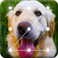Golden Retriever Dog Ladrador Lock Screen on 9Apps