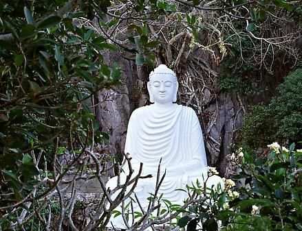 THE DHAMMAPADA screenshot 1