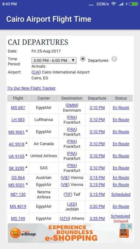 Cairo Airport Flight Time