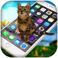 Cat on screen-Cat in phone-Walking in Phone on 9Apps