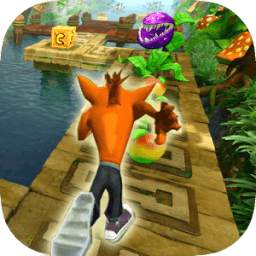 Temple Bandicoot Jungle Run 1.0