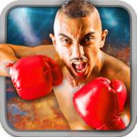Play Boxing Games 2016