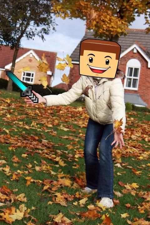 PhotoCraft MC MineCamera Effects screenshot 2