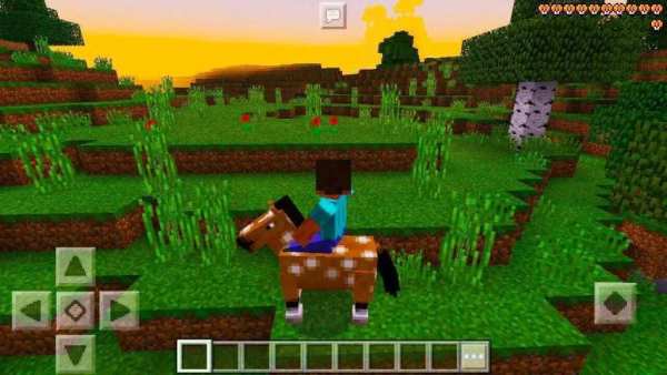 Survival House. MCPE map! 7 تصوير الشاشة