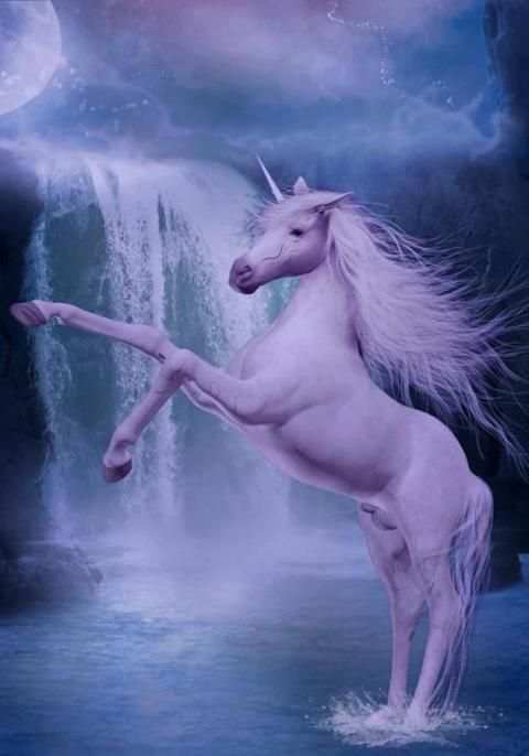 Unicorn Game screenshot 2
