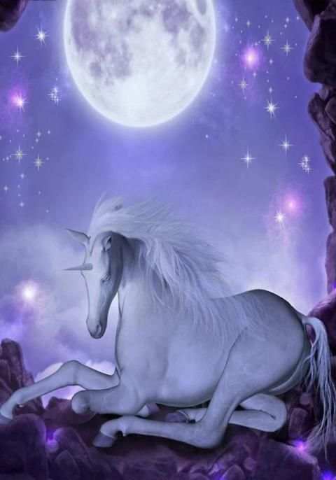 Unicorn Game screenshot 3