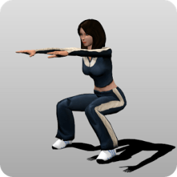 ikon Circuit Training Assistant