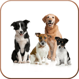 Dog Breeds &amp; Traits icon