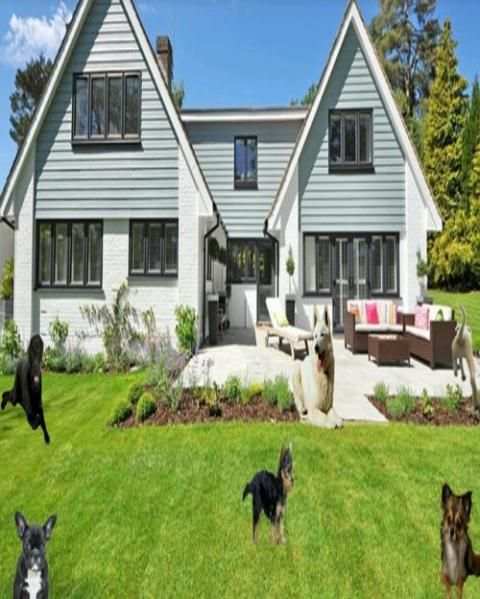 Dogs Photo Editor screenshot 3