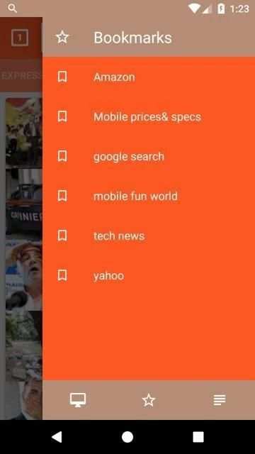 Flash Browser screenshot 2